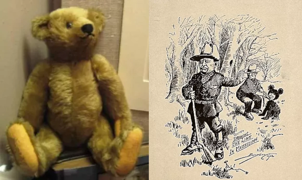 The Story of the Teddy Bear - Historia Pluszowego Misia 